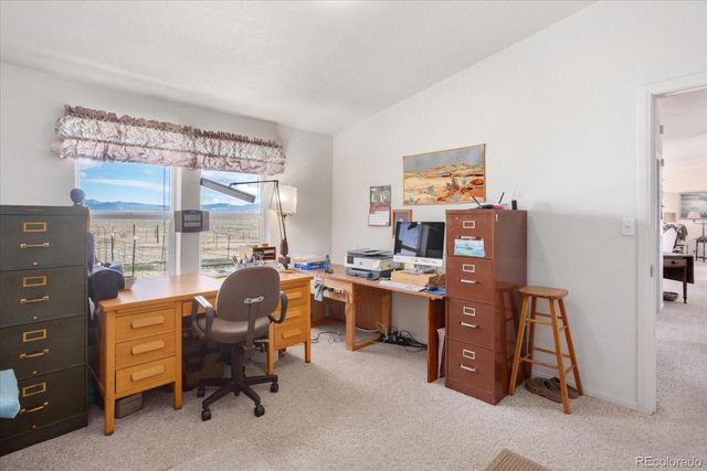 13786 Schoger Road, Nathrop, CO 81236