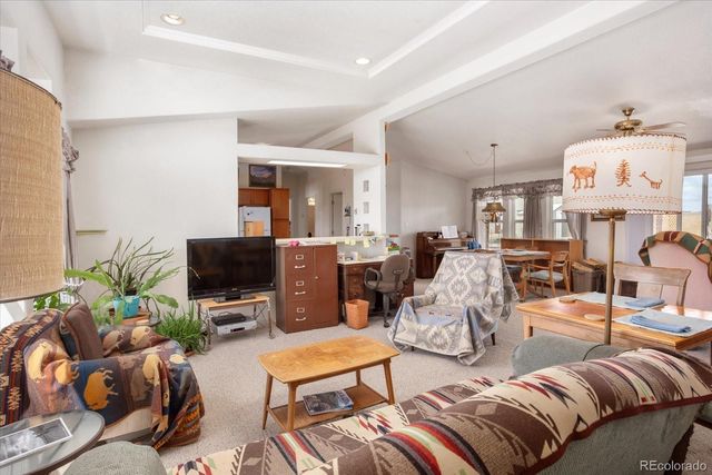 13786 Schoger Road, Nathrop, CO 81236