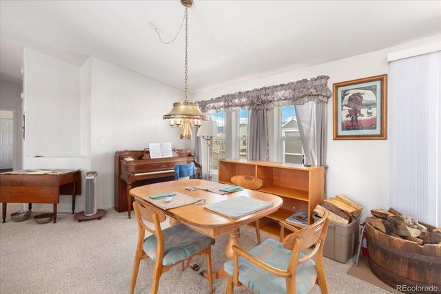 13786 Schoger Road, Nathrop, CO 81236