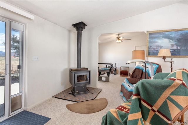 13786 Schoger Road, Nathrop, CO 81236