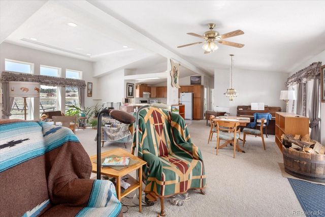 13786 Schoger Road, Nathrop, CO 81236