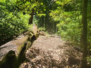 0 Lost Valley Road, Los Gatos, CA 95033