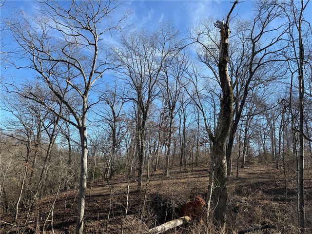 509 E Walnut Street, Rogers, AR 72756