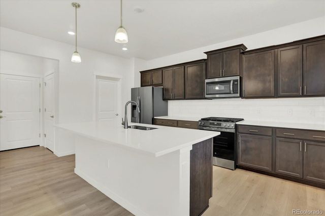 17386 Red Cosmos Point, Parker, CO 80134