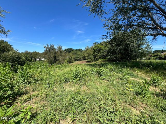 102 Charlie Avenue, Piney Flats, TN 37686