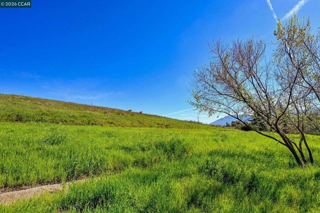 1358 1358 Swallowtail Rd, Concord, CA 94521