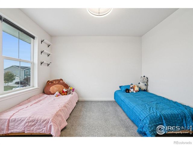 294 Gila Trail, Ault, CO 80610