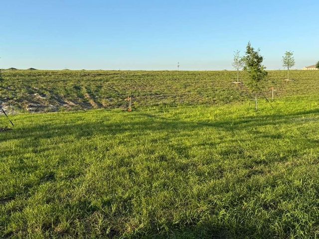 3367 ALEXANDER DRIVE, Lake Wales, FL 33853