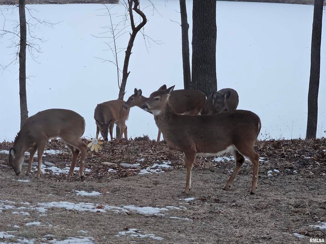 1828 WINGED FOOT Drive, Pekin, IL 61554