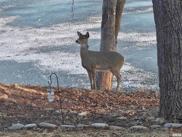 1828 WINGED FOOT Drive, Pekin, IL 61554