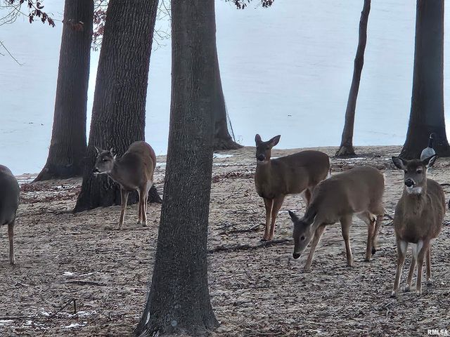 1828 WINGED FOOT Drive, Pekin, IL 61554