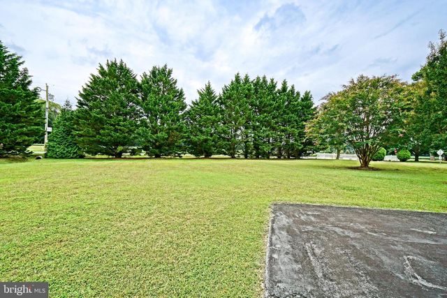 20296 BUNDICK BRANCH DR, Milton, DE 19968