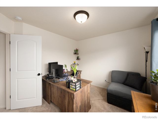 970 Greenbrook Drive, Windsor, CO 80550