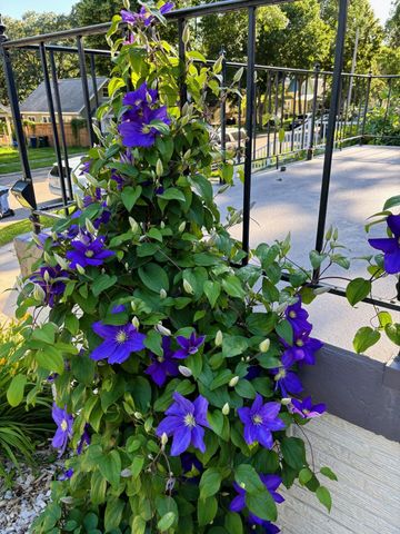 512 Spruce Street, Fergus Falls, MN 56537