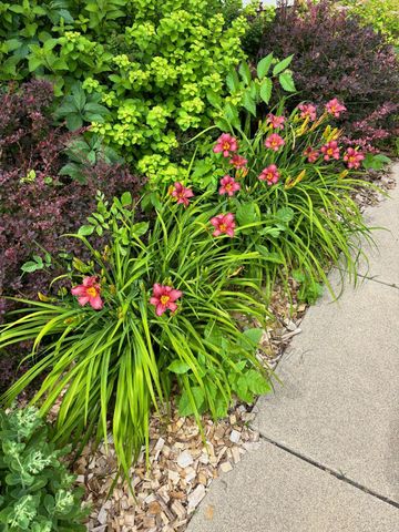 512 Spruce Street, Fergus Falls, MN 56537