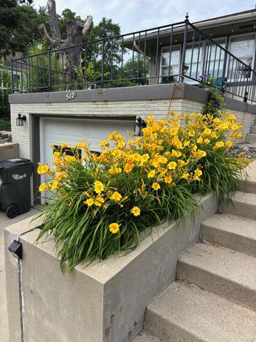 512 Spruce Street, Fergus Falls, MN 56537