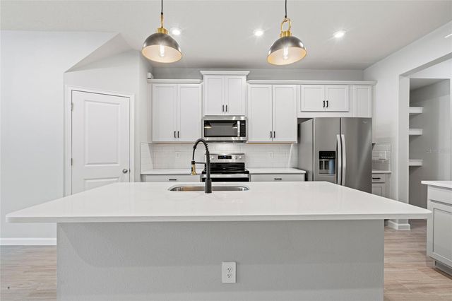 4156 CLOUD HOPPER WAY WAY, Lutz, FL 33559