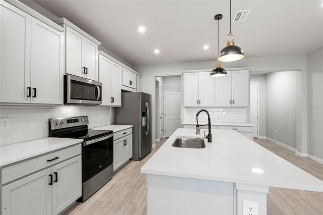 4156 CLOUD HOPPER WAY WAY, Lutz, FL 33559