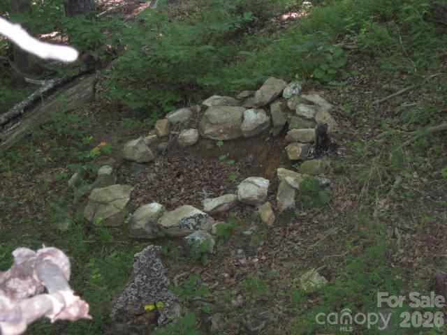 409 Arrowood Road, Rutherfordton, NC 28139