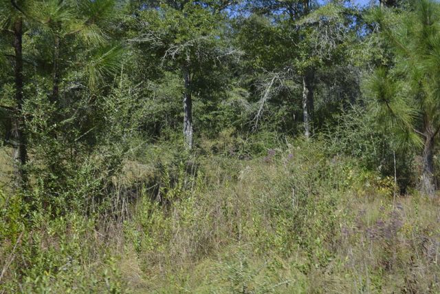 2928 Aplin Road, Crestview, FL 32539