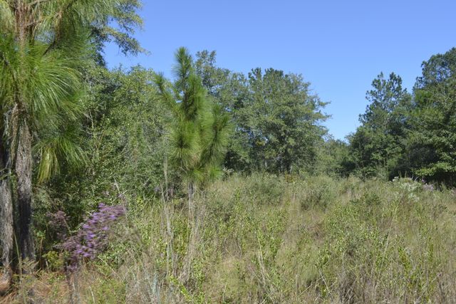 2928 Aplin Road, Crestview, FL 32539