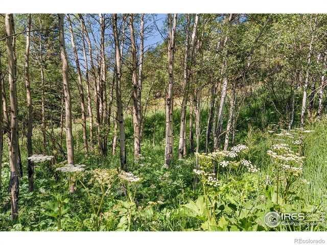 1213 Primos Road, Boulder, CO 80302