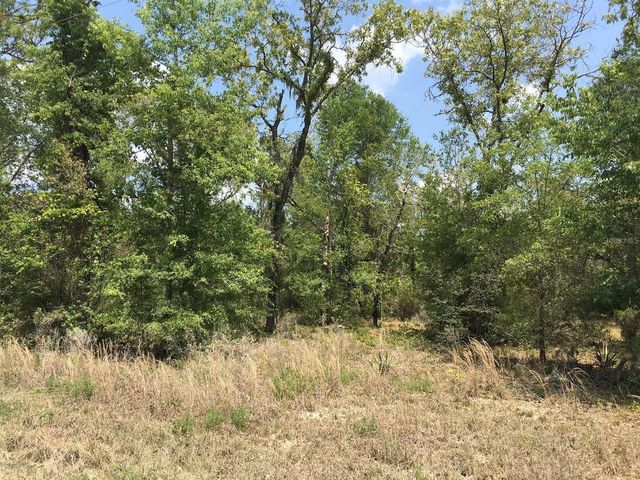 7231 NE 136TH AVENUE, Williston, FL 32696