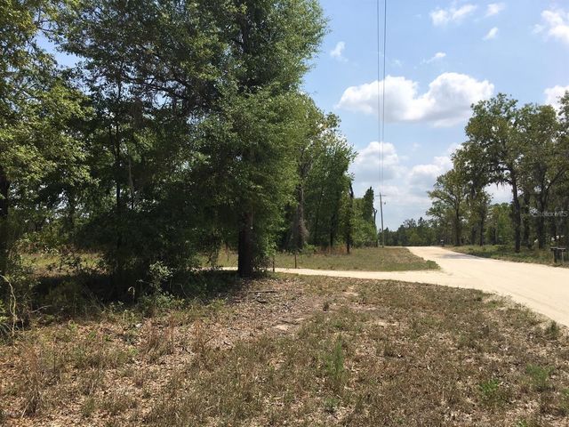 7231 NE 136TH AVENUE, Williston, FL 32696