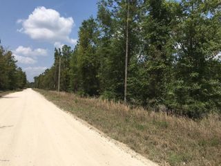 7231 NE 136TH AVENUE, Williston, FL 32696