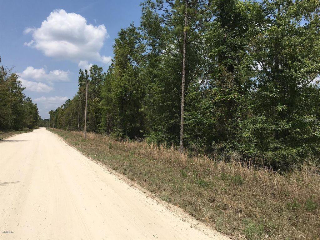 7231 NE 136TH AVENUE, Williston, FL 32696
