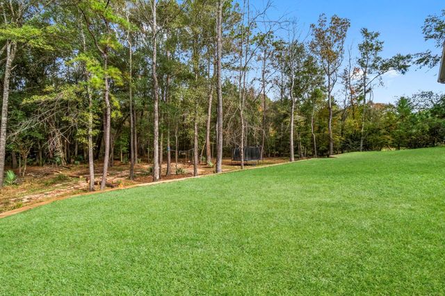 6802 W Bluff Drive, Magnolia, TX 77354