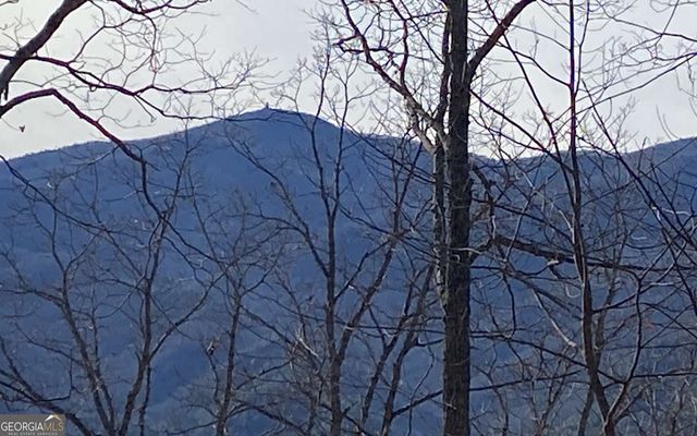 TRACT 1 Caeser Gap Road, Hiawassee, GA 30546