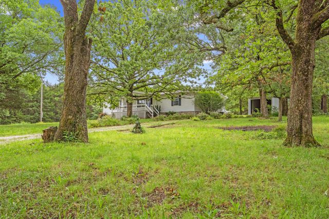 366 Persimmon Hill Lane, Lampe, MO 65681