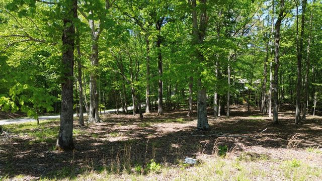 0 Four Seasons Dr, Smithville, TN 37166