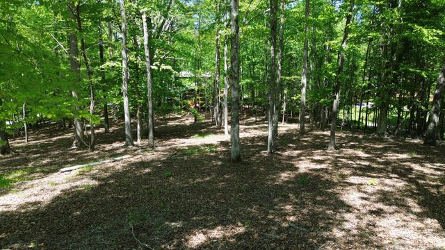 0 Four Seasons Dr, Smithville, TN 37166