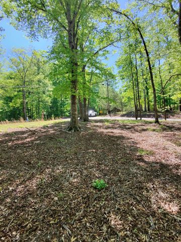0 Four Seasons Dr, Smithville, TN 37166