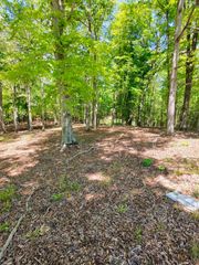0 Four Seasons Dr, Smithville, TN 37166