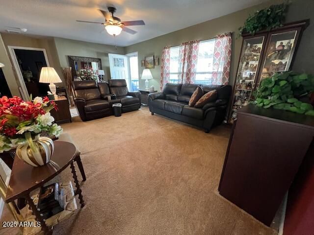 225 S Knee Deep Loop 233, Sierra Vista, AZ 85635