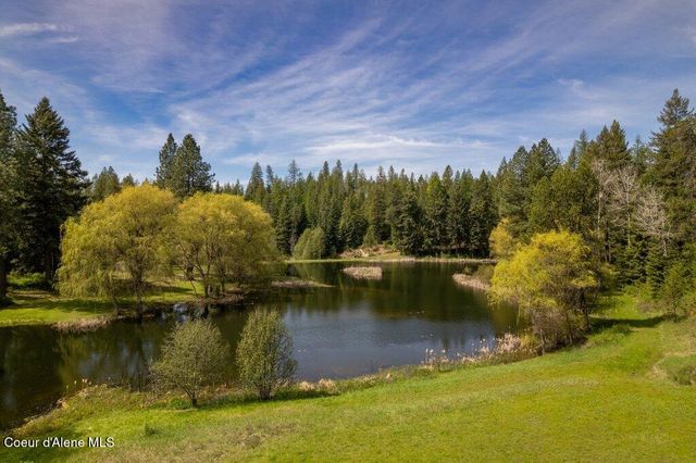 784 Twin Rivers RD, Athol, ID 83801