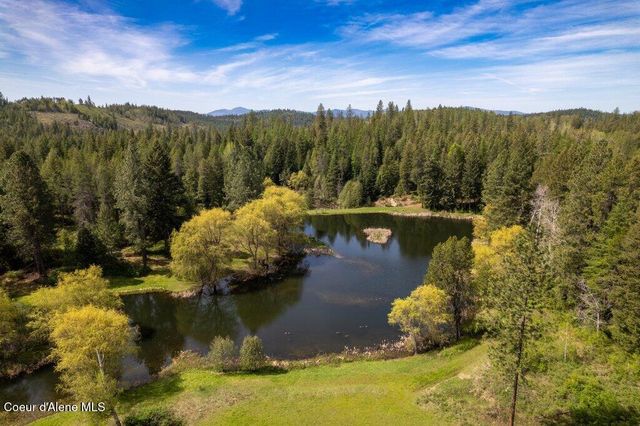 784 Twin Rivers RD, Athol, ID 83801