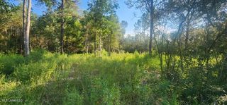 Big Point, Moss Point, MS 39562