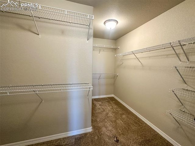 8227 Henzlee Place, Falcon, CO 80831