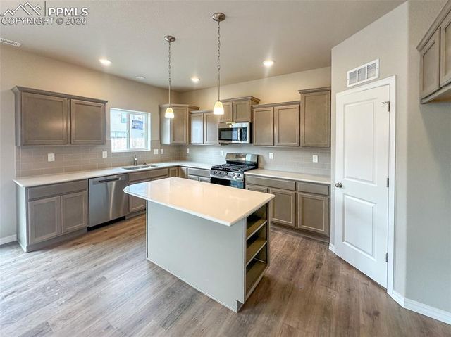 8227 Henzlee Place, Falcon, CO 80831