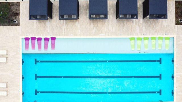 115 Spotted Wood Court, Willis, TX 77318