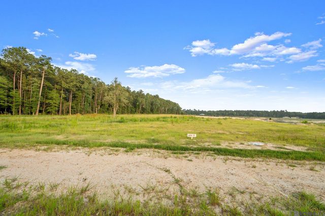 Lot 12 Hidden Oaks Ln, Denham Springs, LA 70706