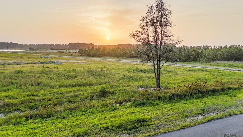 Lot 12 Hidden Oaks Ln, Denham Springs, LA 70706
