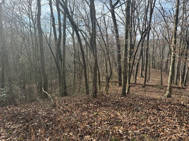 0 Smoky Mountain Ridge, Marble, NC 28906