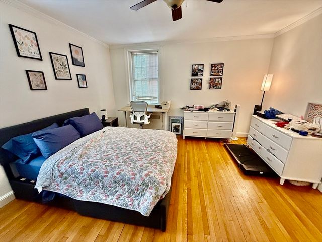 116 Park Street 2, Brookline, MA 02446