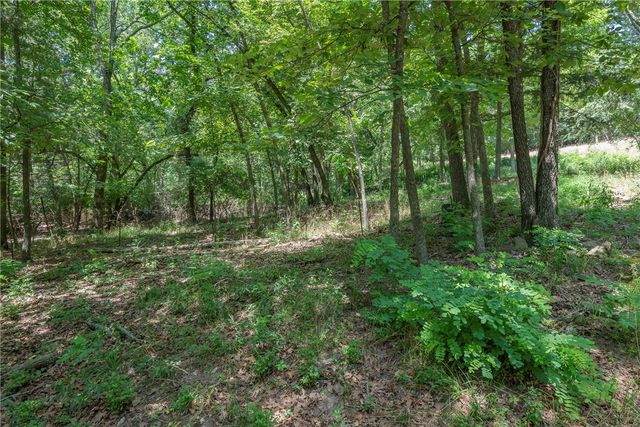 Lot 28 E Clark Street, Fayetteville, AR 72701