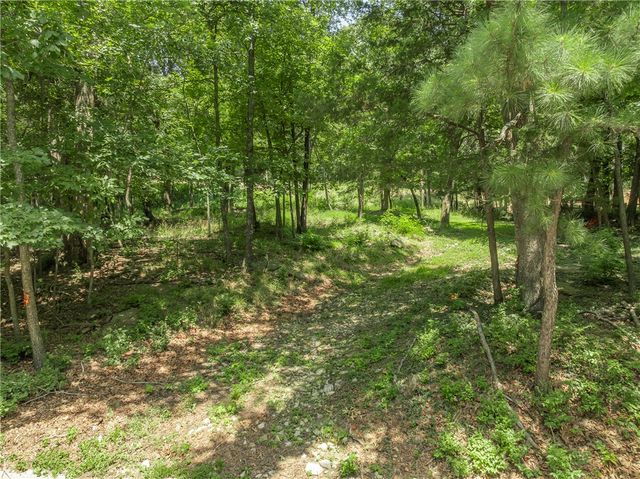 Lot 28 E Clark Street, Fayetteville, AR 72701